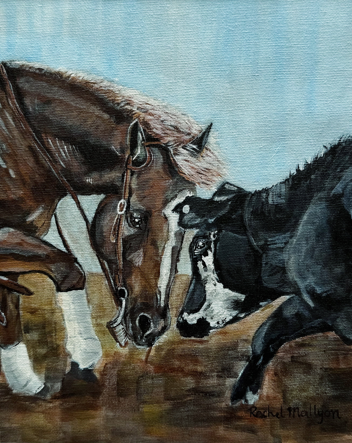 Cowsense - Art Print