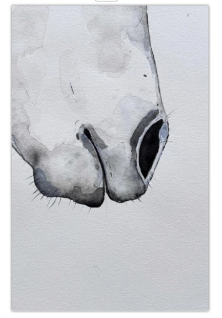 Greeting Card - Old Grey